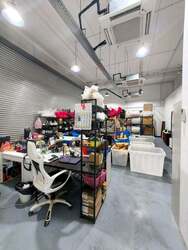 REVV (D22), Factory #561025661